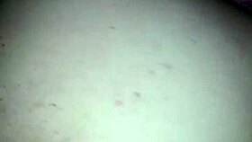 carl lite and his friend explore big asses and monster cocks in a steamy encounter