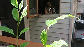 i got nikki fucked doggystyle, her tits bouncing all over