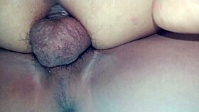 hey, ever tried banging a super sexy shemale like this?