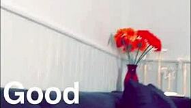 i love flashing my dirty panties and getting cumshots from interracial sluts