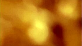 Perrita Hermosa En Cachetero