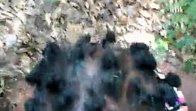 Early Morning Blowjob On Cock With Intense Sucking