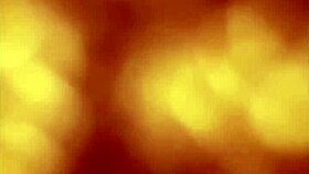 Perrita Hermosa En Cachetero