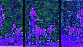 I can't resist this vintage taboo pussy in outdoor doggystyle