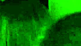 Who is this attention whore fucking at the college party?