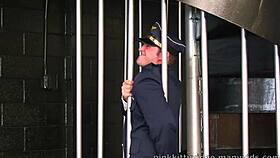 lisa ann stars in a hardcore hd cosplay video where she's drilled in doggystyle, missionary, and cowgirl positions by a big cock, leading to a cumshot