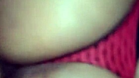 i’m pounding my curvy brazilian girl before valentine’s day with wild passion