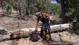 Ma, potpuno sam zavoleo ovu brzu interrasnu jebacinu sa sportistima u šumi