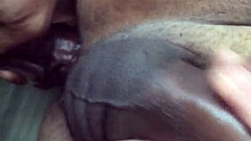 Thug Plays With My Dick