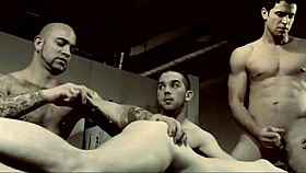 These gay cock tales are hot and exciting! 🔥