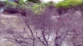 Blond teen enjoys anal sex with a black guy during south africa vacation