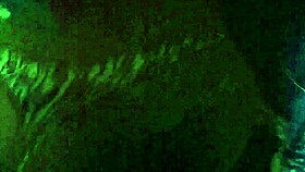 Amateurs Enjoy Intense Creampie Sex Session