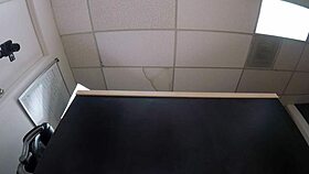 Tala black anal left 1