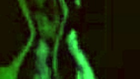 Vintage Interracial Taboo In London