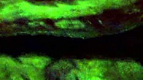 i cum to big boobs indian maid