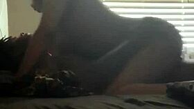 ebony couple fucking with big black cock