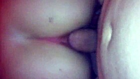 Img 9065 Mov Amateur Video Clip