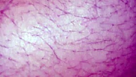 beautiful morena asks for help because husband can't perform due to crack