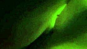 blonde milf amateur gives a sloppy blowjob