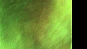 homemade video of fat hairy gay man