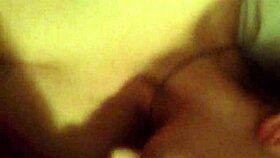 my gringa for one blowjob or fingering session