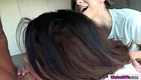 Three sluts fight for big cock