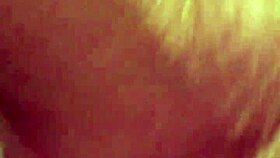 blonde gives casual blowjob in everyday scene