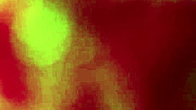 Latina ass pays rent with fucking