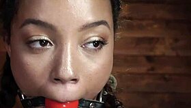 Small tits latin slave bound in hogtie gets spanked hard