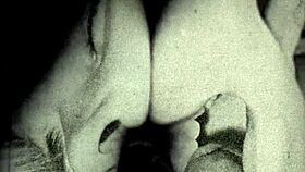 Vintage Blowjob And Fucking In Secret Diaries