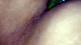 i inserted a cucumber in my ass during a bisexual shemale encounter