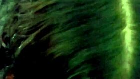 My Girlfriend Sucks My Dick So Good And Cums On Her Tits