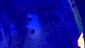 Watch how Cheetah Adora XXX became a star at this wild California party.