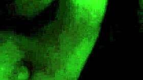 My MILF gets a CUMSHOT on her TITS!