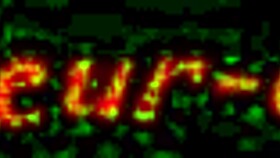 African Beauties Deliver Intense Oral in Portraits!