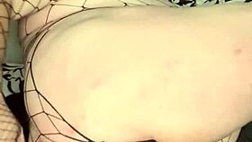 Update 12 Image 5578 December 03 2023