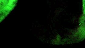 My MILF gets a CUMSHOT on her TITS!