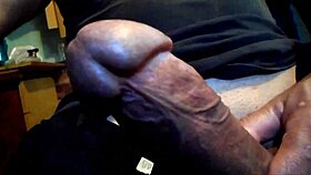 rempic horny cat tests gay stuff.