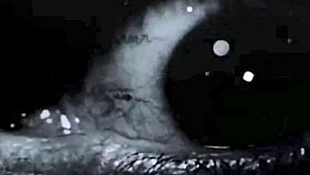 Geile Hilary Verkent Een Vintage Middeleeuwse Huisvrouw Fantasie