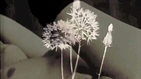 Intriguing old content currently on hold for viewing