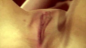 i licked presley's pussy until she squirted in that seedy motel