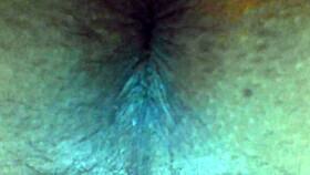 carrot party with anal fun 😏