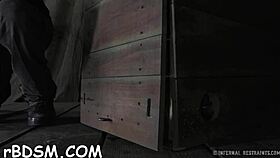 muzzled playgirl needs wild taming with toys and masturbation