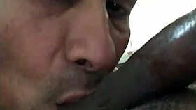 Indian Gay Suck And Fuck By Bear Daddy