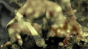 exploring vintage british pornography from the old days with hairy pussies and antique vibes