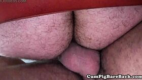 Mature Leather Bears Engage in Rough Bareback Anal Foreplay