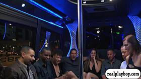 Why do swingers swap for orgy blowjobs?