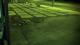 stomach whipping in bdsm, unless you're from the sixties and into that