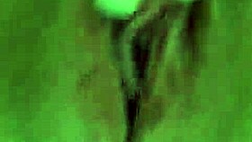 presentinho no isolamento