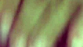 presentinho no isolamento